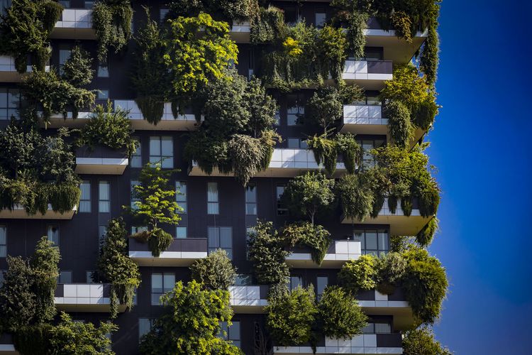 Fassadenbegrünung an einem Hochhaus