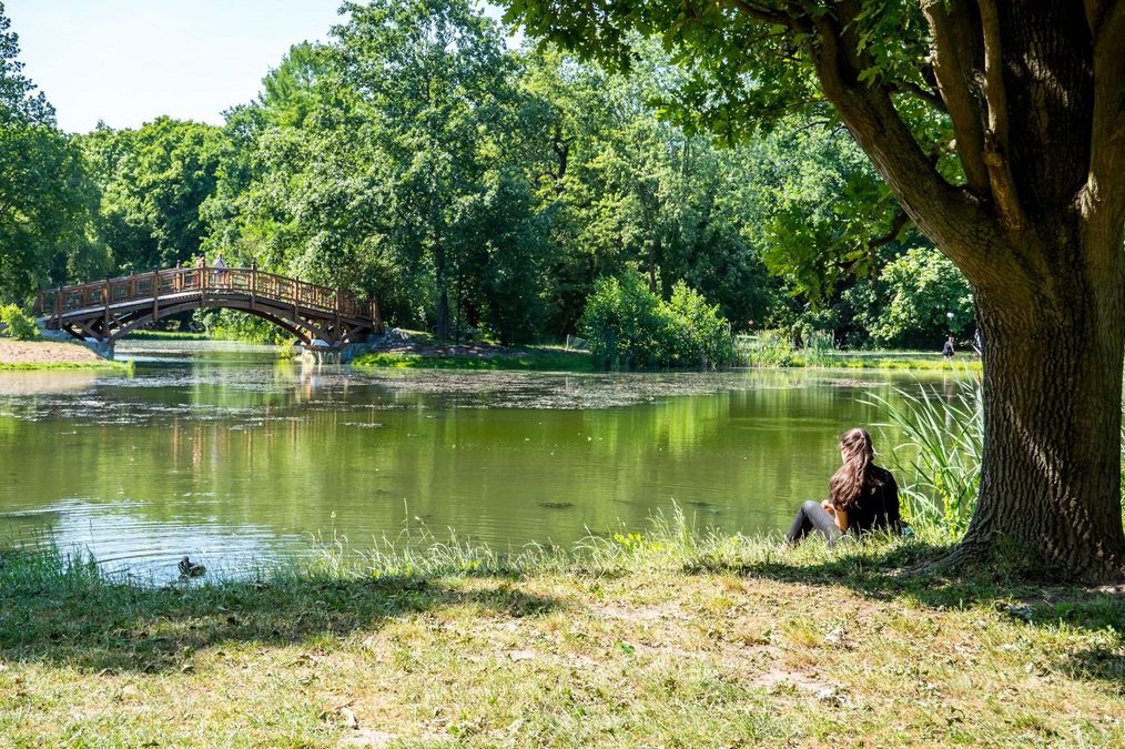 Ein Teich mit einer kleinen Holzbrücke. Am Ufer unter einem Baum sitzt eine junge Frau.