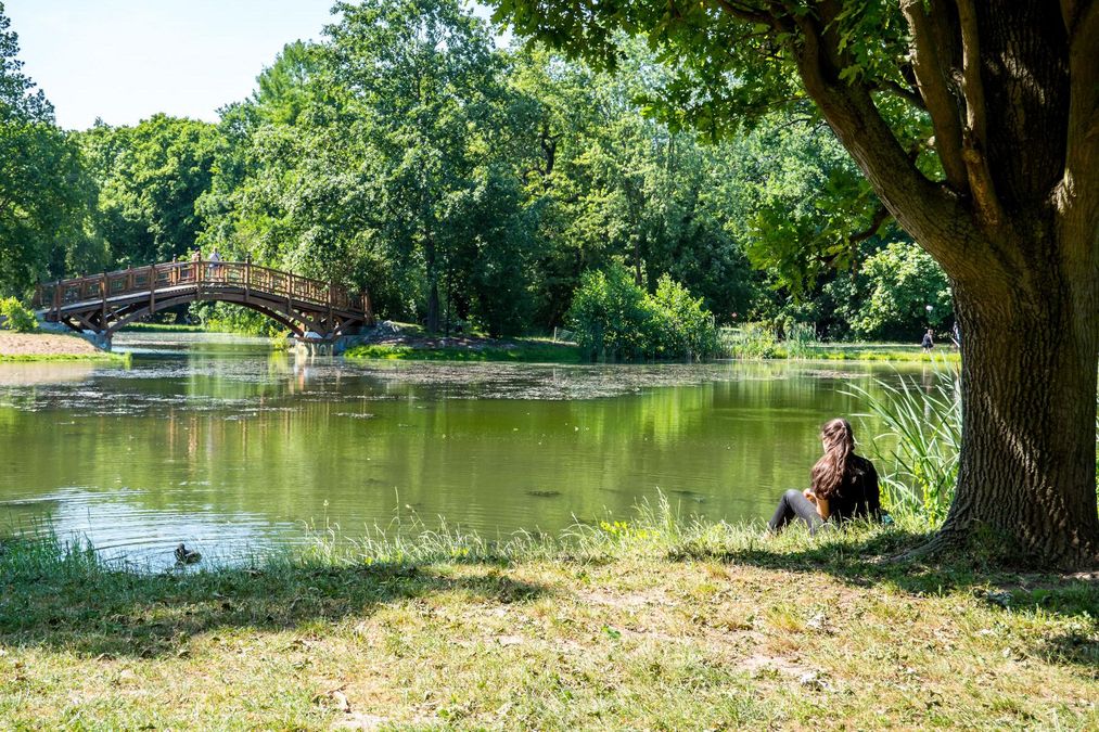 enlarge the image: A pond with a small wooden bridge. A young woman is sitting under a tree.