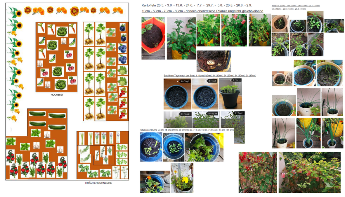 enlarge the image: Beispiel der Planung und Dokumentation eines virtuellen Beetes