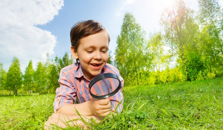 Ein Kind liegt auf einer Wiese und beobachtet das Gras mit einer Lupe.