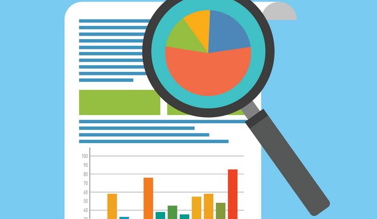 Graphik einer Lupe vor statistischen Abbildungen