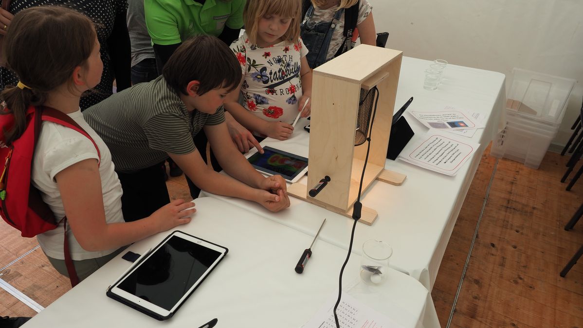 zur Vergrößerungsansicht des Bildes: Experimentieren im Park Foto: Karl Wollmann