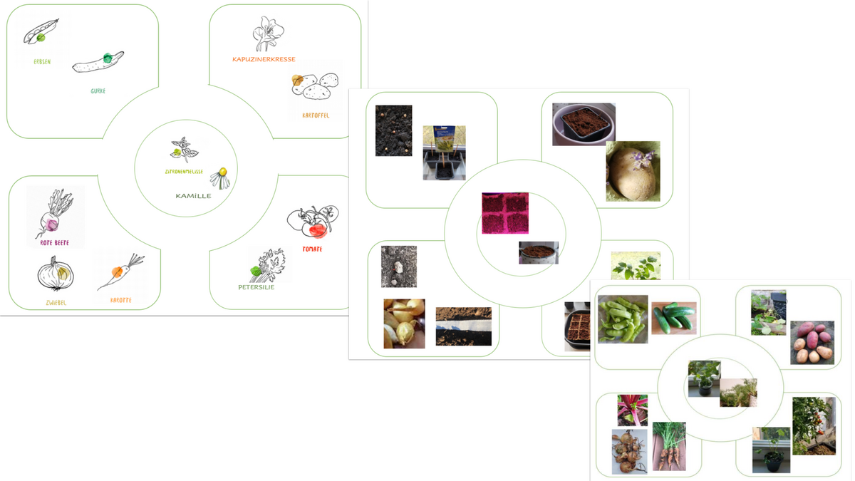 zur Vergrößerungsansicht des Bildes: Beispiel der Planung und Dokumentation eines virtuellen Beetes