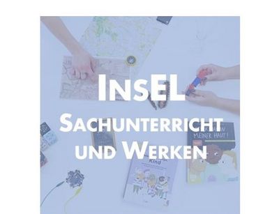 Logo InsEL