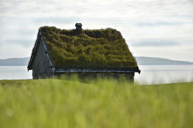 Dachbegrünung auf einem Steinhaus