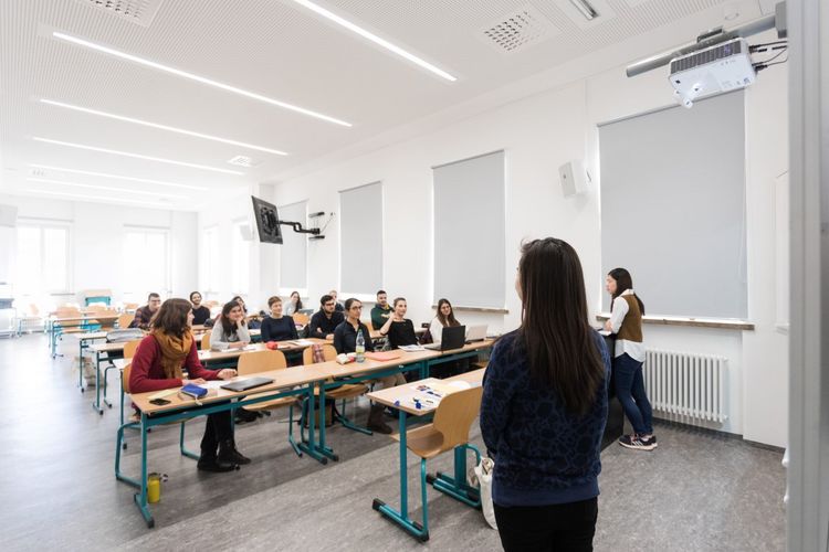 Eine Studentin spricht vor der Tafel zu ihrer Seminargruppe, die im Hintergrund zu sehen ist, Foto: Christian Hüller
