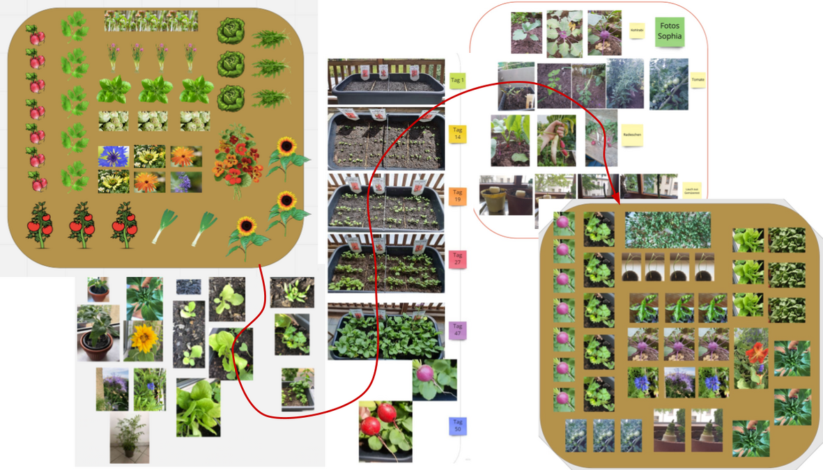 enlarge the image: Planung und Dokumentation eines virtuellen Beetes”