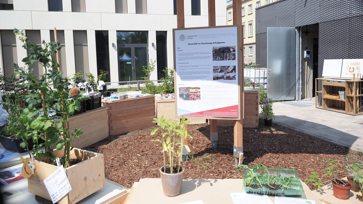 Bild zeigt Projekte im Schulgarten